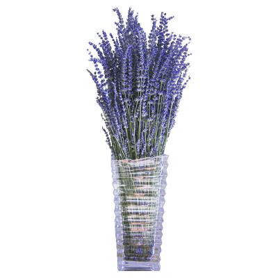 China 2021 Hot Sale 100g Natural Wholesale Amazon Touch High Quality Natural Flower Dried Lavender Flowers for sale