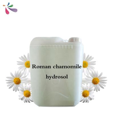 China Moisturizing Roman Chamomile Plant Extracts Material Original Factory Price Best Factory Price Hydration Illuminating Natural Type Care Skin Wholesale Raw Label for sale