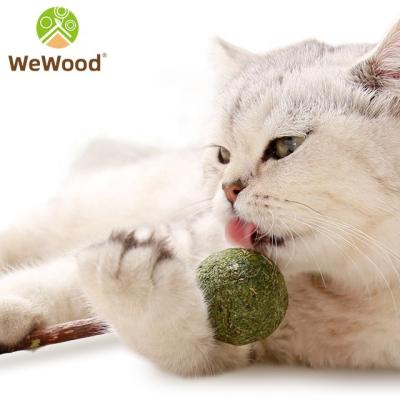 China Wholesale Viable Healthy Teeth Cleaner Cat Stick Toy Catnip Lollipop Molar Cat Snacks Funny for sale