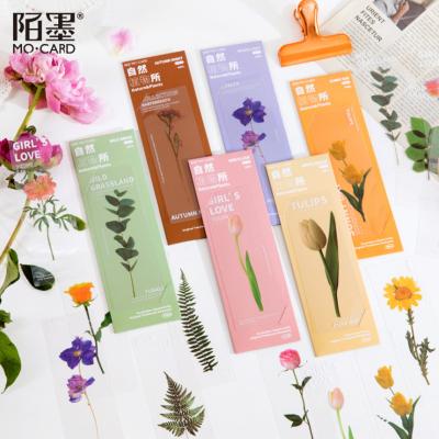 China China 5pcs Per Institute Translucent Natural Plant Series Literature PET Benchmark Institute Dried Flower Hand Count Reading Book Holder for sale