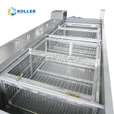 China Fruit Industrial Vegetable Flower Machine Ice Maker Koller Preservation Bottle Cooling Ice Machine for sale