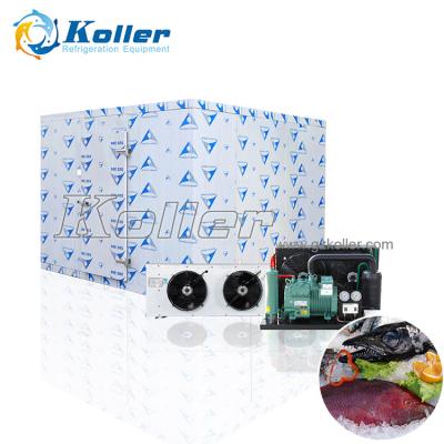 China food & Beverage Factory Koller Walk In Freezer Food Storage Freezing Cold Room For Fishing Seafood Preservation for sale