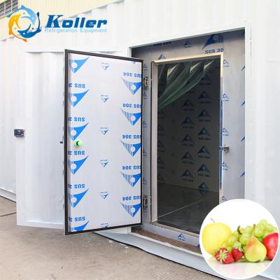 China VCR50 Hotels Cold Room For Ice Storage With 50CBM With PU Panels With Favorable Price for sale