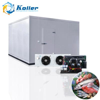 China Pre-cooling& Refrigeration Koller VCR200 Cold Room With 200 Cubic Meters In Volume Insulation Panels for sale