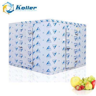 China Hotels Industrial Freezer / Chiller / Refrigerator Cold Room 20 Stere (VCR20) For Different Storage Purpose for sale