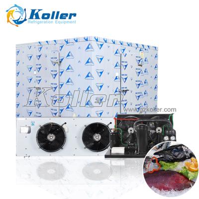 China Hotels Koller Large Cold Room For Fishing Seafood Storage And Ice Storage Fish Cooling And Seafood Preservation Walk In Freezer for sale