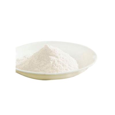 China Bulk Non Dairy Yellow Coffee Creamer Powder White Or Milky For Ice Cream Milk Substitute for sale