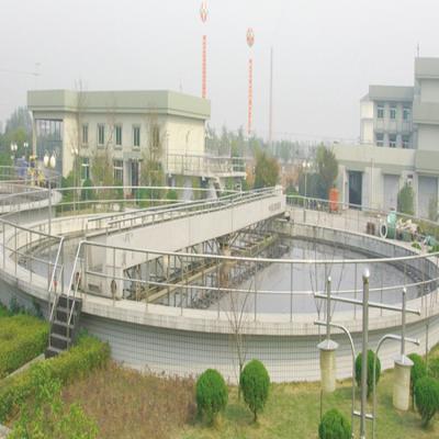 China Sewage Treatment Equipment Sludge Scraper for sale