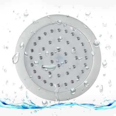 China Residential IP68 Submersible Led Underwater Light 20W For Pond And Pool DC 12V for sale