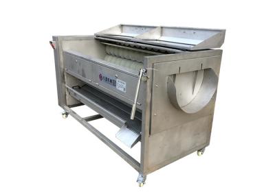 China Commercial Fish Processing Machine 304 Stainless Steel Sea Food Cleaning Equipment for sale