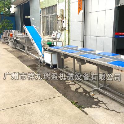 China Stainless Steel Salad Production Line  / Industrial Vegetable Inspecting Processing Line for sale