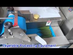 Multifunction Vegetable Processing Equipment 304SUS Dual Head For Slicing / Stripping