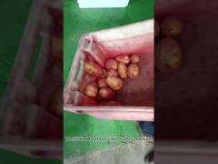 JIUYING High Performance Food and Potato Crinkle-Cut French Fries Cutting Machine