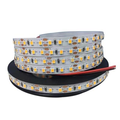 China Indoor Or Outdoor High Quality Waterproof Decoration 60led/m 120led/m 5M SMD 2835 240leds/m Flexible Strip Light DC 12V/24V for sale