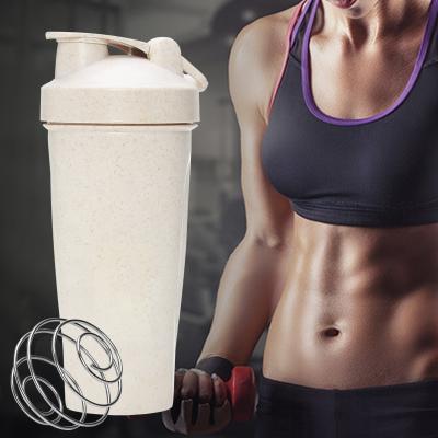 China Custom Plastic Viable Logo 600Ml Wheat Straw Water Mixer Myprotein Protein Powder Shaker Bottle With Mixer Ball for sale