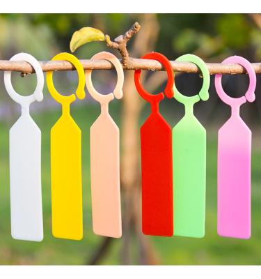 China Reusable Thick Plastic Plant Tree Tag Marker Nursery Garden Label QY870 for sale