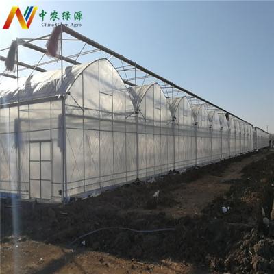 China Fruits Vegetable Flowers Invernadero Multi-span Plastic Sheet Greenhouses Cheap Structure With Hydroponic System for sale