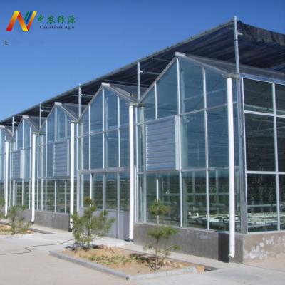 China Stable structure easily assembled multi-span mini polycarbonate greenhouses grow to fabricate other greenhouse irrigation systemm for agriculture for sale