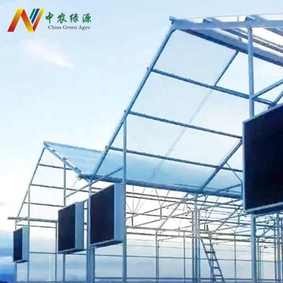 China Stable Structure Easily Assembled 8mm Polycarbonate Sheeting Commercial Agricultural Hydroponics System Multi-Span Greenhouse For Tomatoes for sale