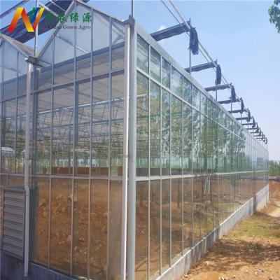 China Stable Structure Easily Assembled PC Polycarbonate Sheet Aluminum Frame Greenhouse for sale