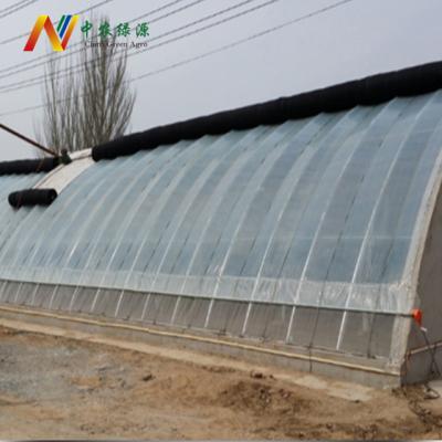 China Stable Structure Low Cost Passive Solar Greenhouse for sale