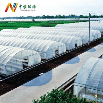 China Easily Assembled Tropical Climate Design Single-Span Tunnel Greenhouse For Sale for sale