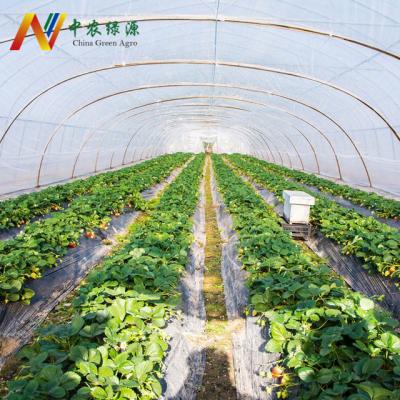 China Easily Assembled Galvanized Material Frame Tunnel Nursery Greenhouse For Sale for sale