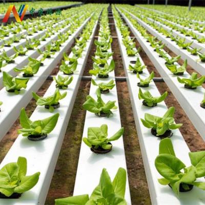 China Durable PVC Pipe Easy Growing Hydroponic Gutter With Drip Irrigation System Growing Leafy Vegetable Greenhouse for sale