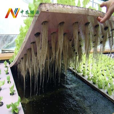 China Greenhouse Hydroponics System Complete Greenhouse DFT Hydroponic Growing System for sale