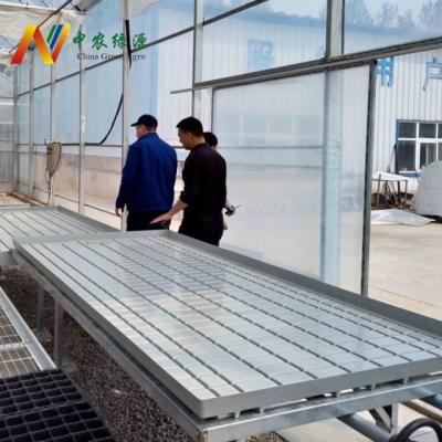 China Greenhouse Hydroponics System China Nursery Supplies Water Collection ABS Plastic Tray for sale