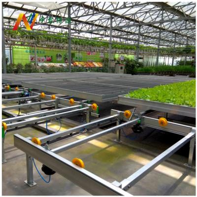 China NFT Gutter Agriculture Greenhouse System Rolling Bench Adjustable Agriculture Hydroponic Growing Mobile Bench for sale