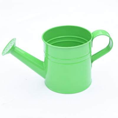 China Graden En71 Certification Carbon Steel Metal Indoor Outdoor Beach Mini Kids Watering Can Green Plant for sale