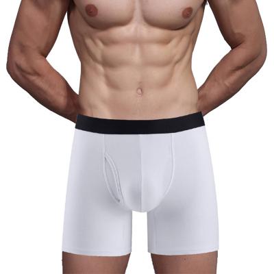 China Antibacterial Plus Size Mens Boxer Briefs Breathable Underwear Shorts Male Under Panties Cotton Spandex Pocket Boxer Briefs Stylish Men for sale