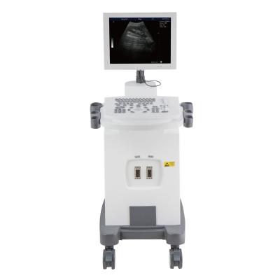 China Medical Ultrasound Instruments Black and White Trolley Ultrasound Full Digital Machine DW-350 Ultrasound Scan Machine for sale