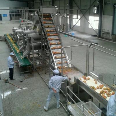 China Turnkey project mango pulp puree jam processing line from A to Z for sale