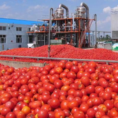 China Turnkey project tomato pulp puree jam processing line from A to Z for sale