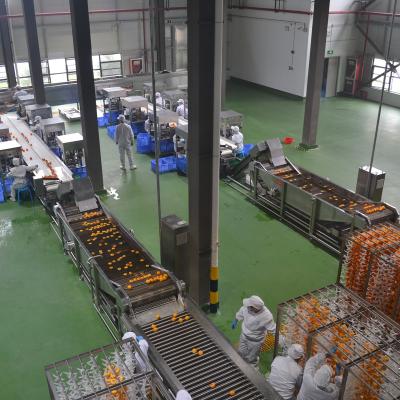 China Full automatic turnkey project mango paste jam processing line from A to Z for sale