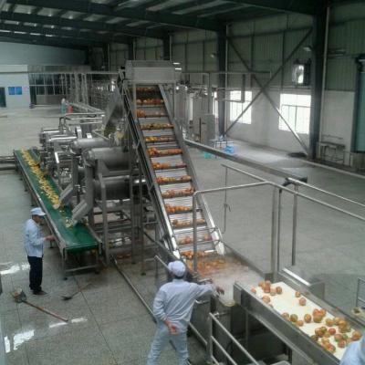 China KINGWISH turnkey project industrial mango pulp/jam/ paste production plant for sale