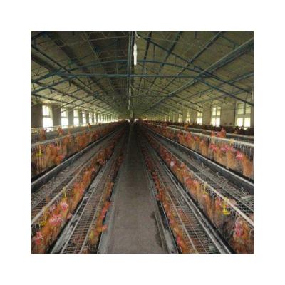 China Modern Agriculture Steel Structure Poultry House Poultry Chicken Farm Prefab Building Norway for sale