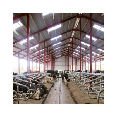 China Steel Fabricated House Prefab Steel Structure Space Frame Poultry Shed Dairy Cow Shed Farm Building for sale