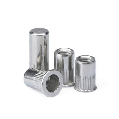 China Flat Head Accept OEM Design Galvanized Flat Head Round Body Plain Rivet Blind Nuts for sale