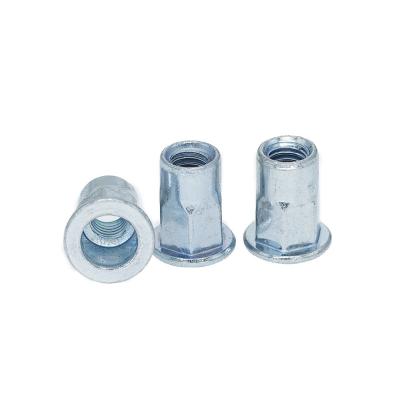 China High Quality Flat Head Blue White Zinc Flat Head Around Body Plain Rivet Nut for sale