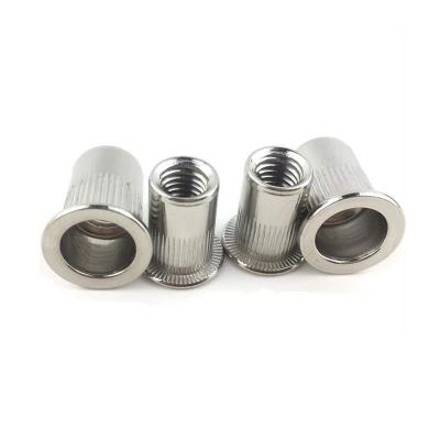 China Flat Head Accept OEM Design Flat Head Round Body Plain M6 Rivet Nut for sale