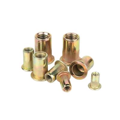 China Flat Head Allows Near-Flux Installations Flat Head Round Body Plain Rivet Nut for sale