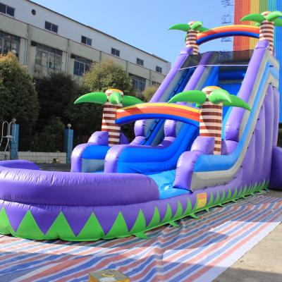 China Inflatable Water Park Games Castle Jumping Inflatable Water Slide For Sale for sale