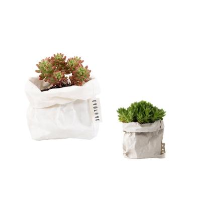 China Modern Durable Flower Grow Bag Kraft Washable Pot Planter for sale