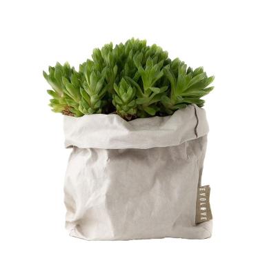 China Modern Durable Indoor Flower Growing Washable Kraft Paper Pot Covers for sale