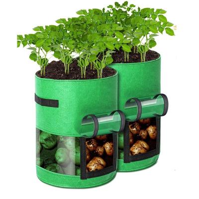 China Felt 1 Black Felt 3 5 7 10 20 30 Gallon Garden Plant Potato Grow Bag 15 Inch Potato Grow Bag for sale