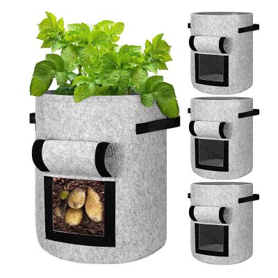 China Potato Felt Growing Green Plant Nursery Bag Garden Plant Felt Cloth Tomato Potato Growing Bags for sale