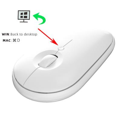 China System Compatibility Wins Newest USB Nano Receive Wireless Mouse Wireless Optical Mice For Laptop Girl 2.4G One-Button Back Slim Office Mouse for sale